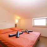 Biljana 1480 *